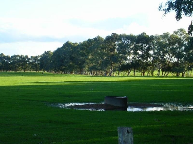 111 Nuttall Road, The Plains, Boyanup WA 6237