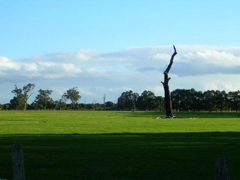 111 Nuttall Road, The Plains, Boyanup WA 6237