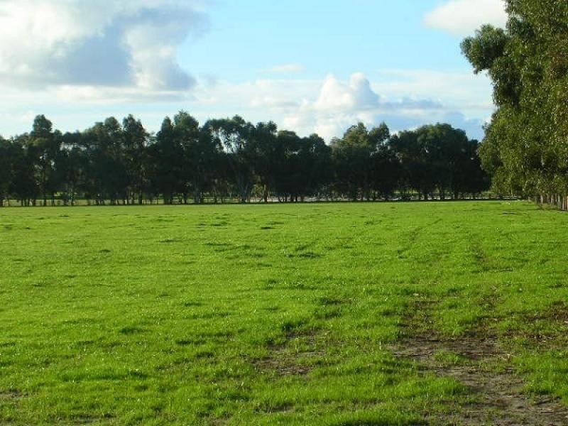 111 Nuttall Road, The Plains, Boyanup WA 6237