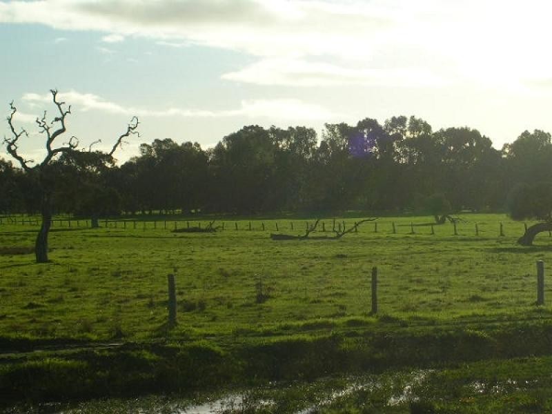 111 Nuttall Road, The Plains, Boyanup WA 6237