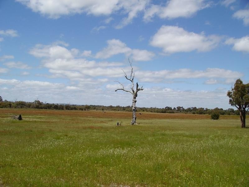 13 Sherlock Place, Harvey WA 6220