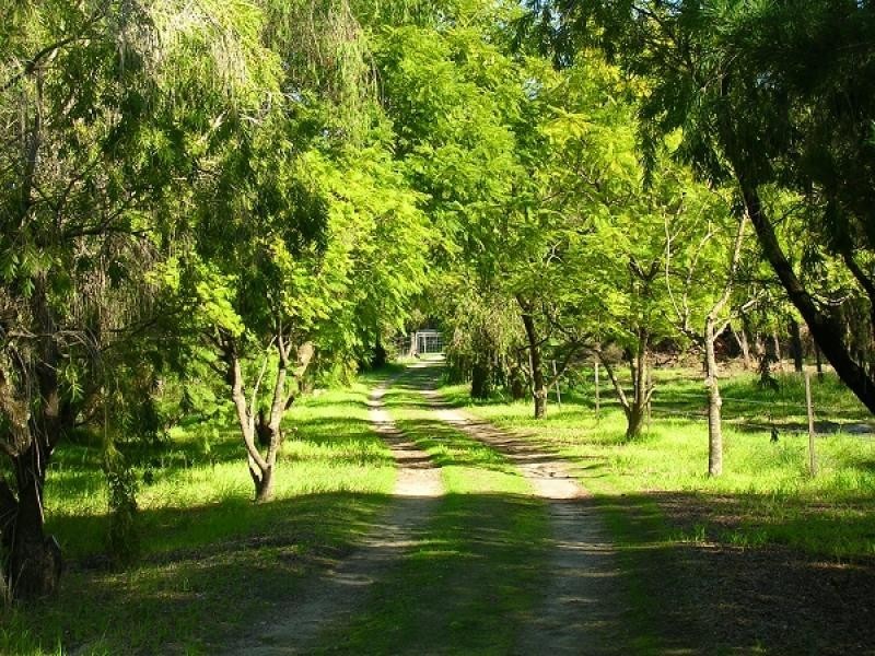 13 Sherlock Place, Harvey WA 6220