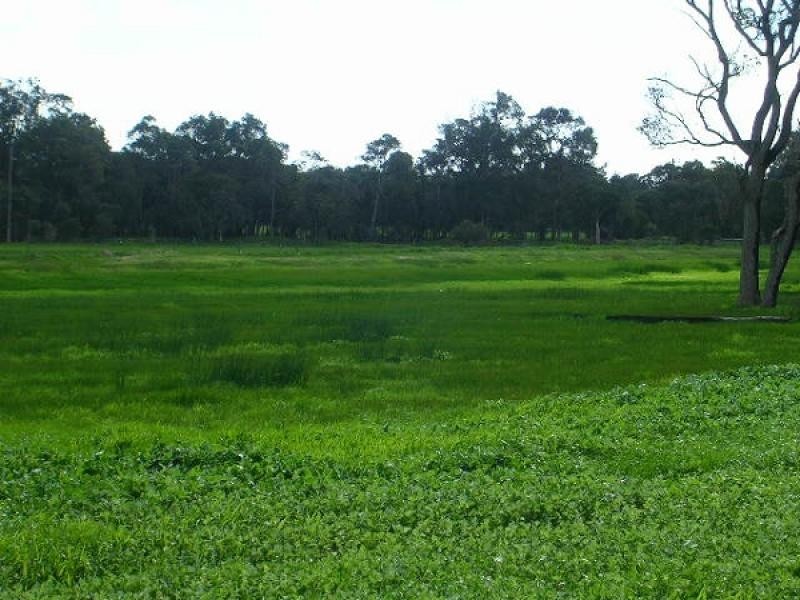 Lot 1 ,2,12 Ludlow Hithergreen Road, Busselton WA 6280