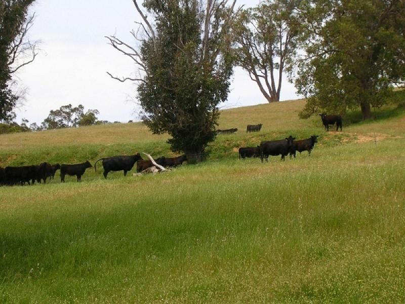 Lot 1 Brookhampton Road, Thomson Brook WA 6239