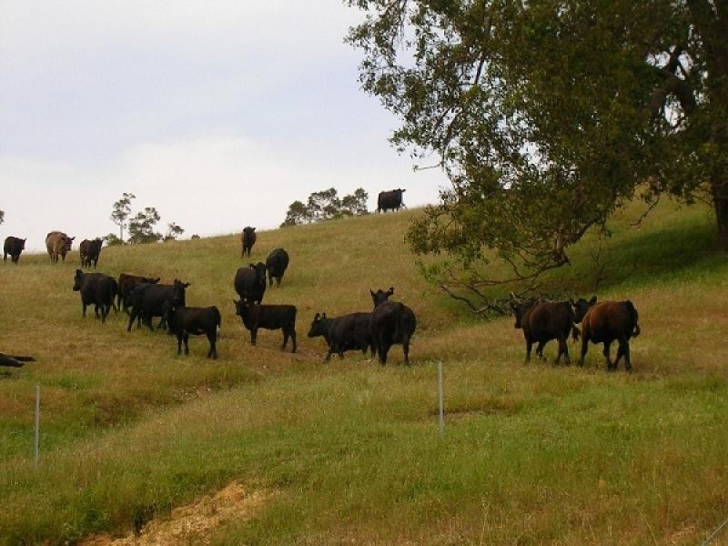 Lot 1 Brookhampton Road, Thomson Brook WA 6239