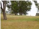 Lot 1 Brookhampton Road, Thomson Brook WA 6239