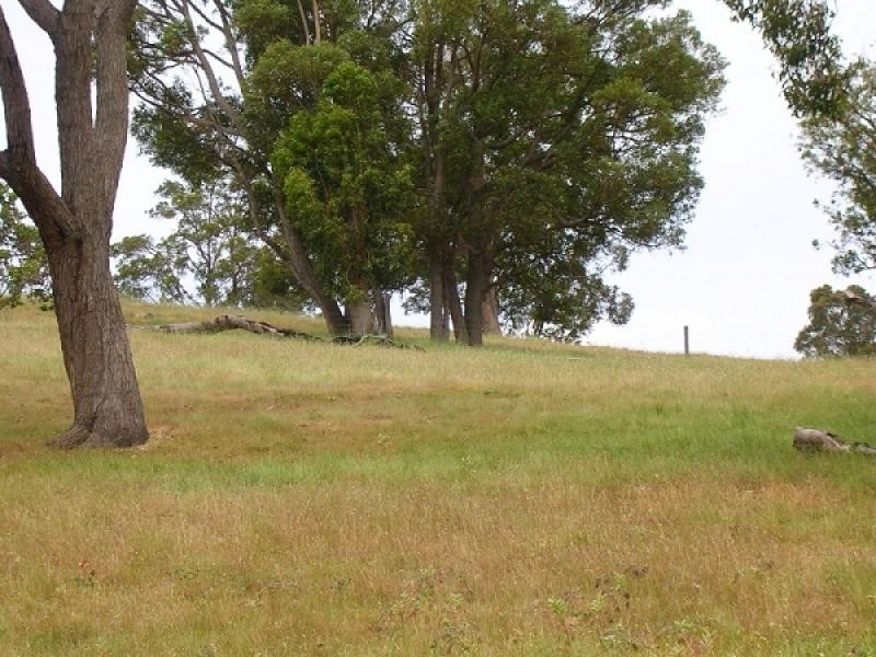 Lot 1 Brookhampton Road, Thomson Brook WA 6239