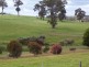 Lot 160 Cnr Cosy Creek & Balbarrup Road, Manjimup WA 6258