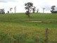 Lot 160 Cnr Cosy Creek & Balbarrup Road, Manjimup WA 6258