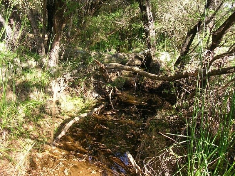 Lot 3585 Oldham Road, Mornington WA 6221