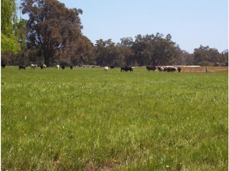 Lot 1 Boyup Brook Donnybrook Rd, Wilga, Boyup Brook WA 6244