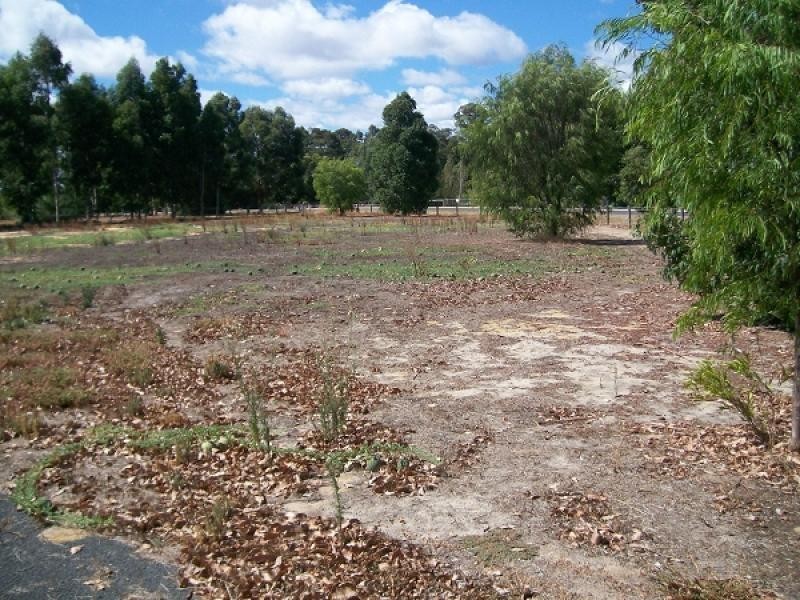 11 Digger Place, Boyanup WA 6237