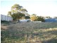 3 Nutley Court, Binningup WA 6233