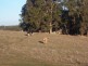 Lot 2 Hundley Rd, Noggerup Via Donnybrook, Donnybrook WA 6239