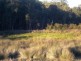 Lot 2 Hundley Rd, Noggerup Via Donnybrook, Donnybrook WA 6239