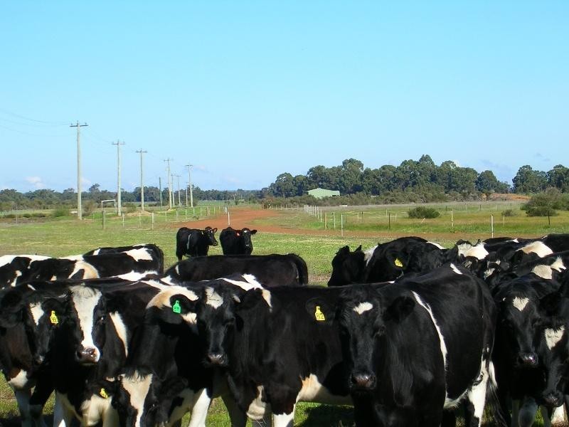 Lot 4102/ Williamson Road, Tutunup WA 6280