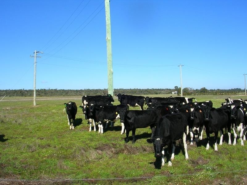 Lot 4102/ Williamson Road, Tutunup WA 6280