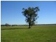 Lot 4102/ Williamson Road, Tutunup WA 6280