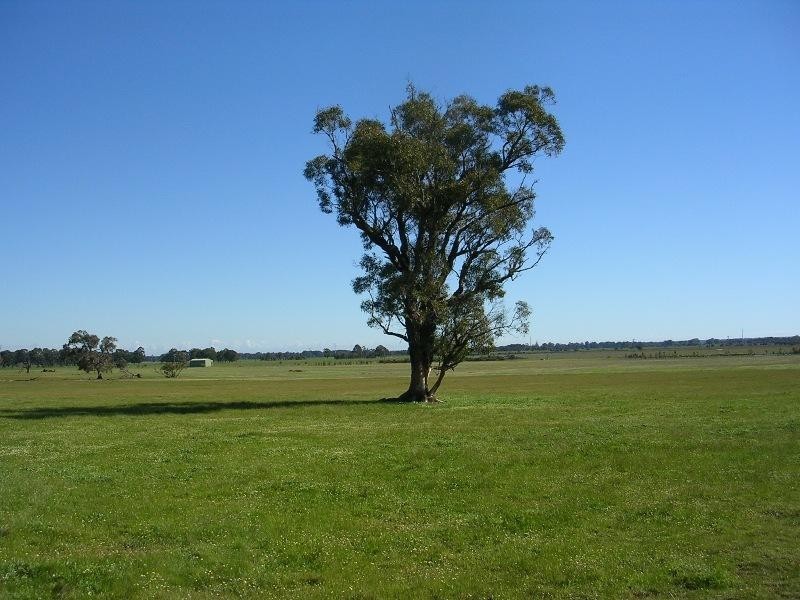 Lot 4102/ Williamson Road, Tutunup WA 6280