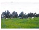 Lot 671 Yoongarillup Rd, Acton Park, Busselton WA 6280