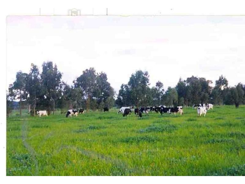 Lot 671 Yoongarillup Rd, Acton Park, Busselton WA 6280