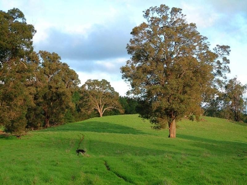 Lot 61 Crowd Wheatley Rd, Bridgetown WA 6255