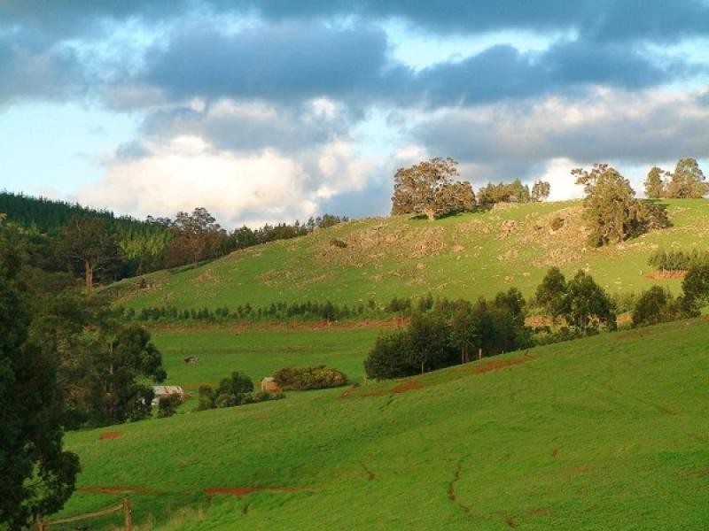 Lot 61 Crowd Wheatley Rd, Bridgetown WA 6255