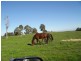 816 Burney Road, Yarloop WA 6218