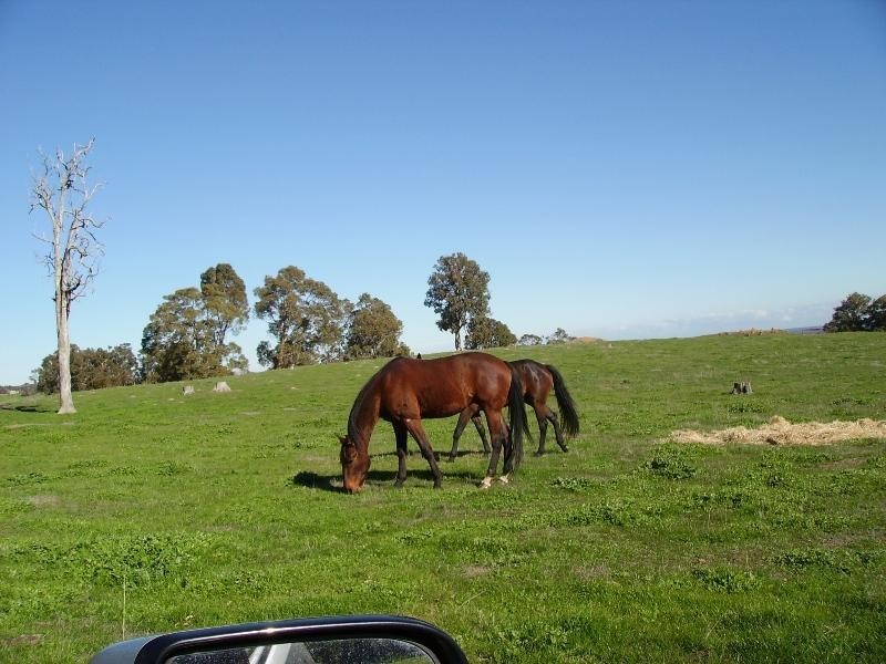 816 Burney Road, Yarloop WA 6218