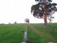 9030 Mitchelldean Road, Manjimup WA 6258