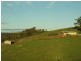 188 Browne Wheatly  Rd, Bridgetown WA 6255