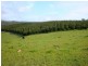 188 Browne Wheatly  Rd, Bridgetown WA 6255
