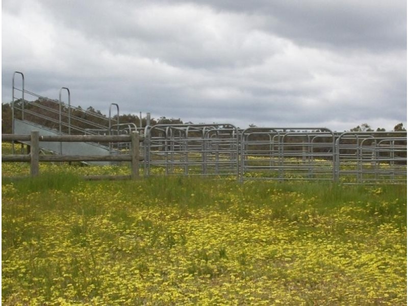 Lot 10 Katrina Rd, Donnybrook WA 6239