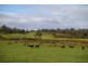 Lot 105 Double Bridges Road, Northcliffe WA 6262