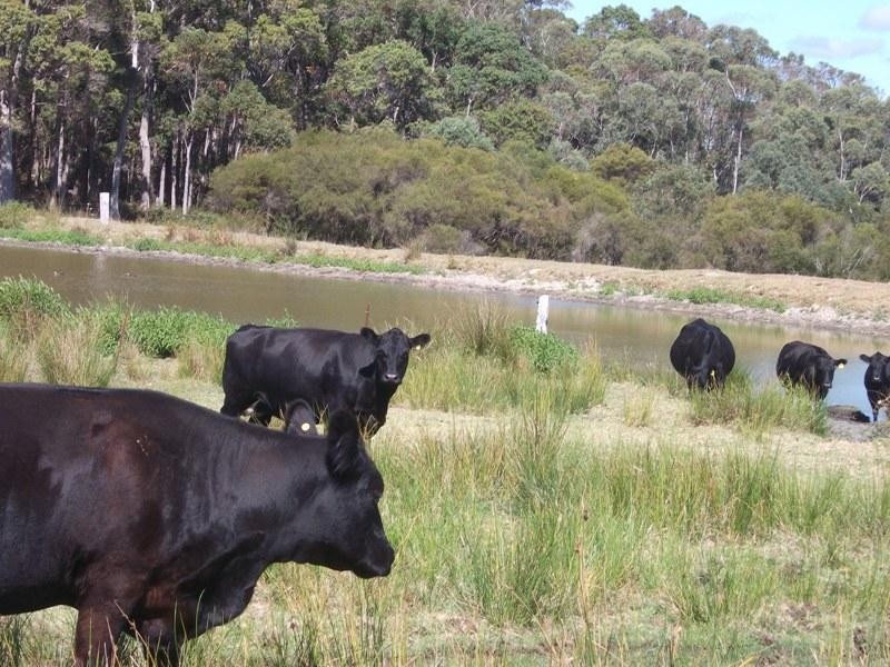 121 RICHARDSON ROAD, Northcliffe WA 6262