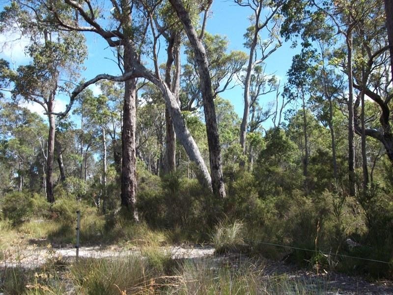 121 RICHARDSON ROAD, Northcliffe WA 6262