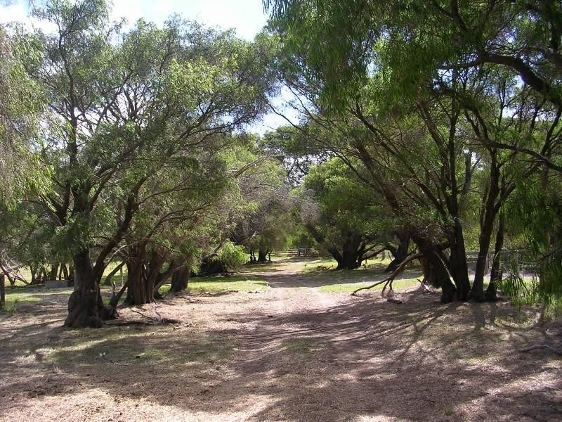 Lot 10/127 Hillview Road, Augusta WA 6290