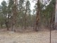 Lot 235/ Rangeview Avenue, Rangeview Estate, Boyup Brook WA 6244