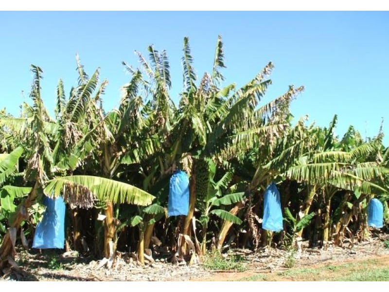 83 MCGLADES ROAD, Carnarvon WA 6701