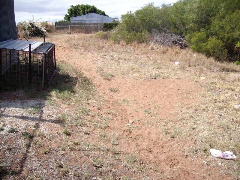 33 Douglas Street, Carnarvon WA 6701