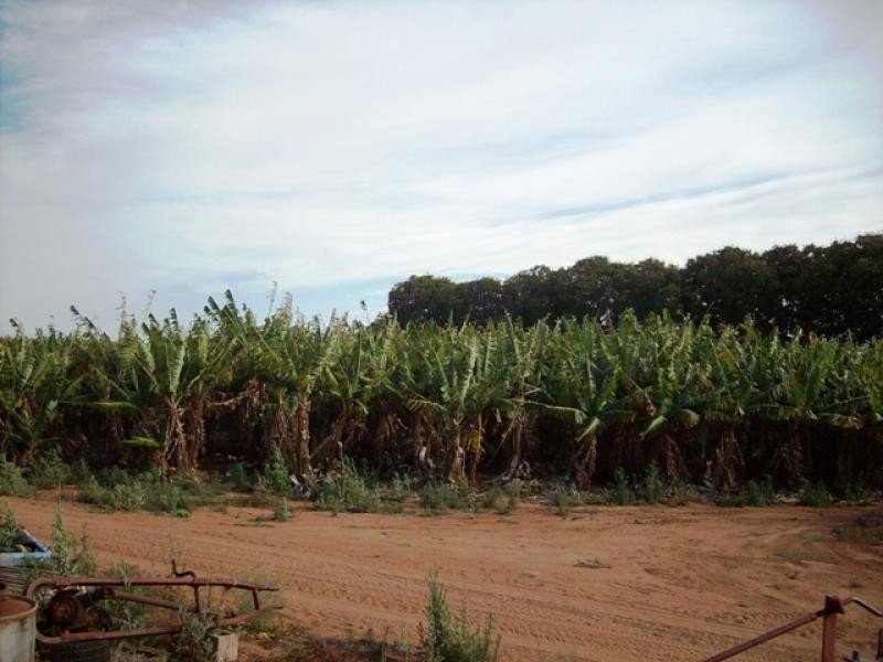 105 MCGLADES ROAD, Carnarvon WA 6701