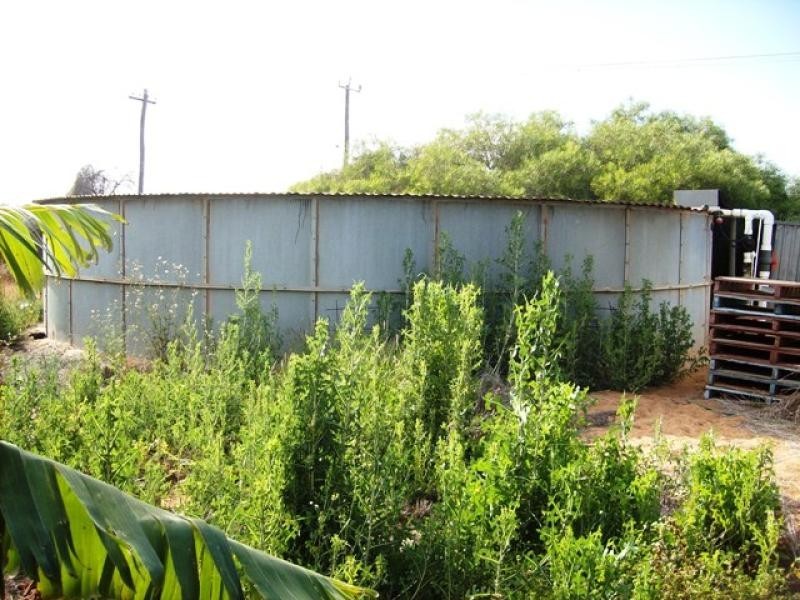 105 MCGLADES ROAD, Carnarvon WA 6701