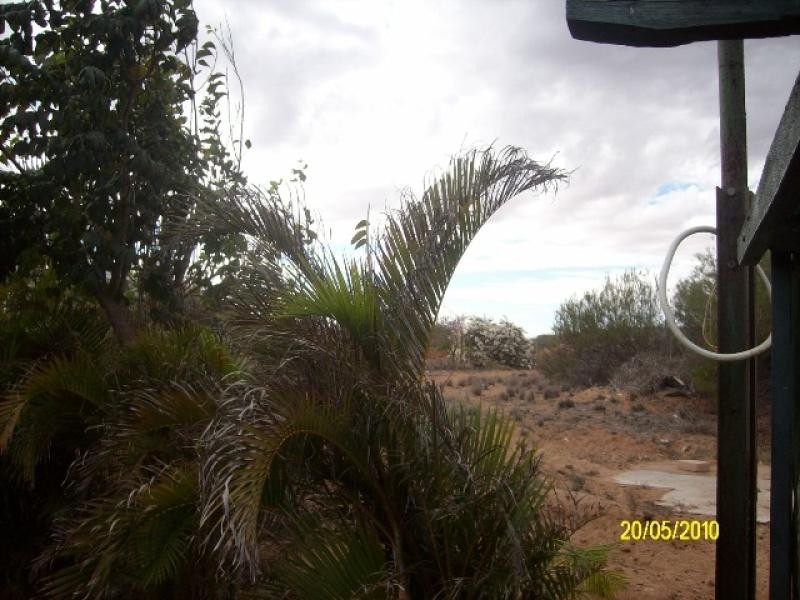 33 DOUGLAS STREET SOUTH, Carnarvon WA 6701