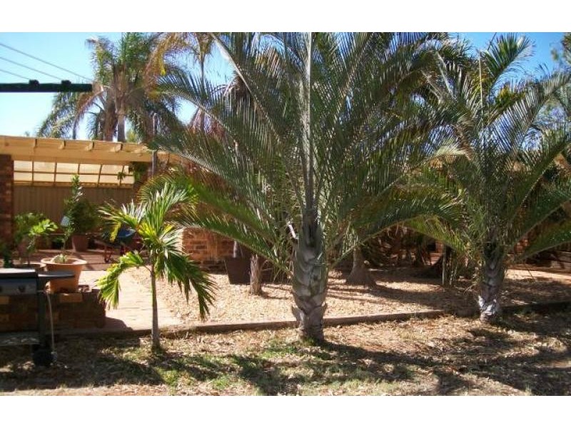 17 MASLEN STREET, Carnarvon WA 6701