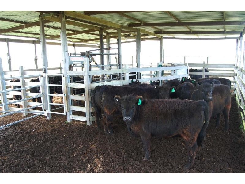 Lot 34/ Hicks Road, Esperance WA 6450