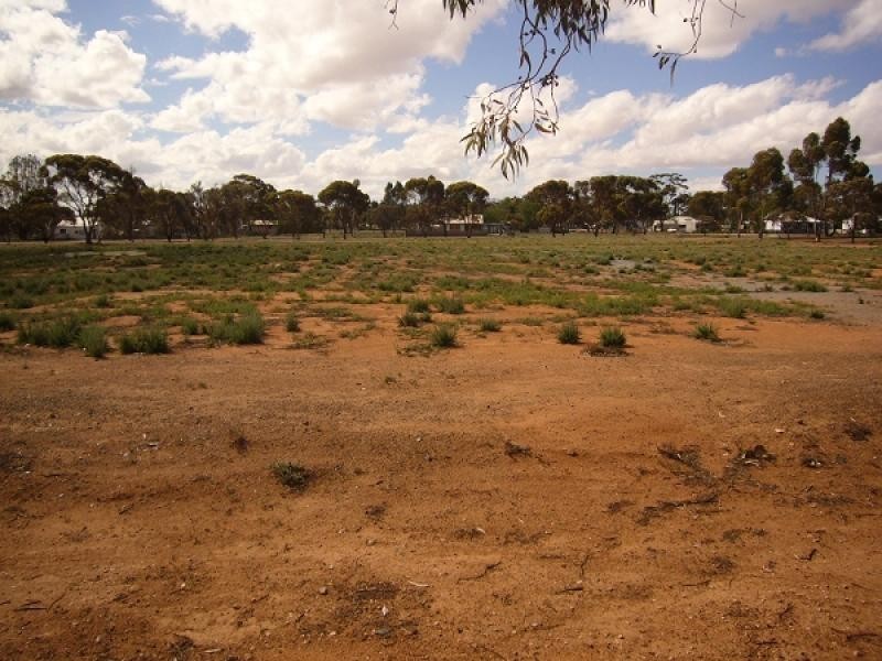 19 Fuller Street, Norseman WA 6443