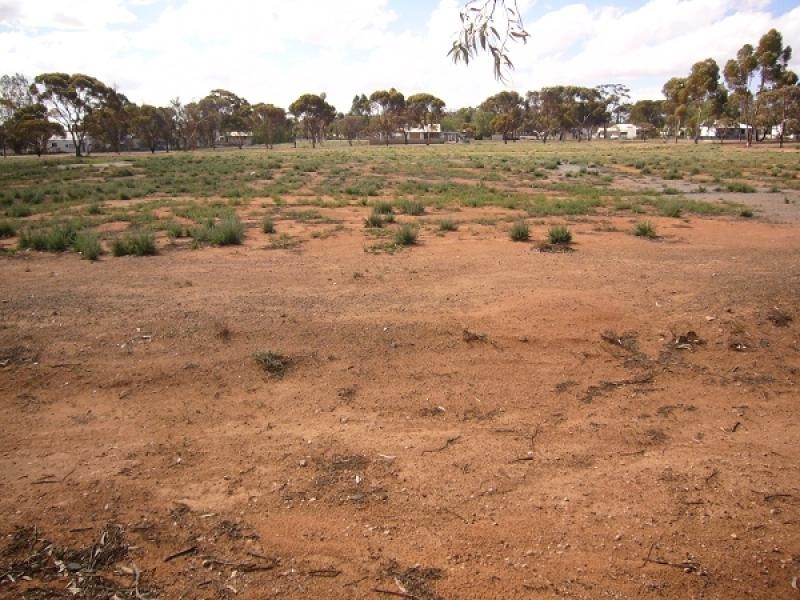 19 Fuller Street, Norseman WA 6443