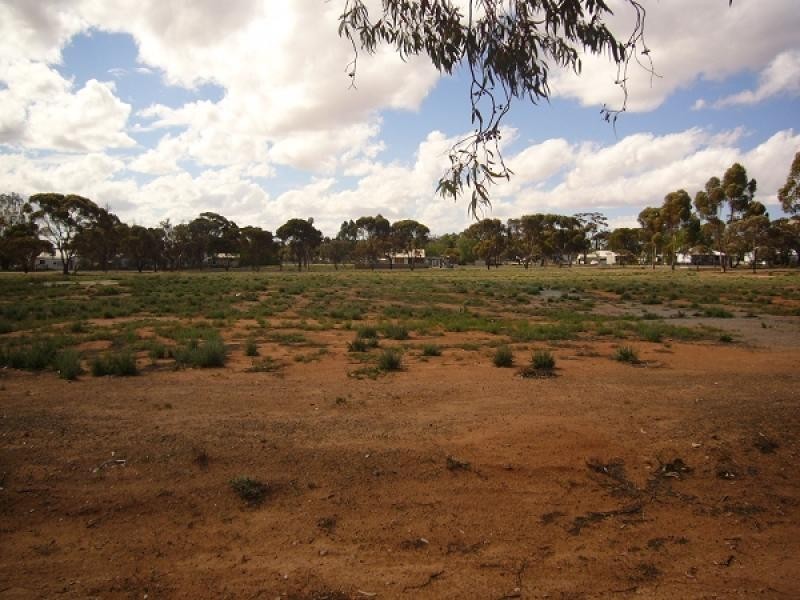 19 Fuller Street, Norseman WA 6443