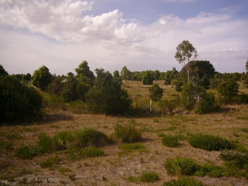 Lot 113/ Sanctuary Crescent, Pink Lake WA 6450