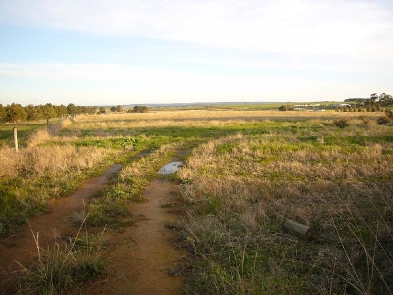 Lot 41 Shark Lake Road, Monjingup WA 6450